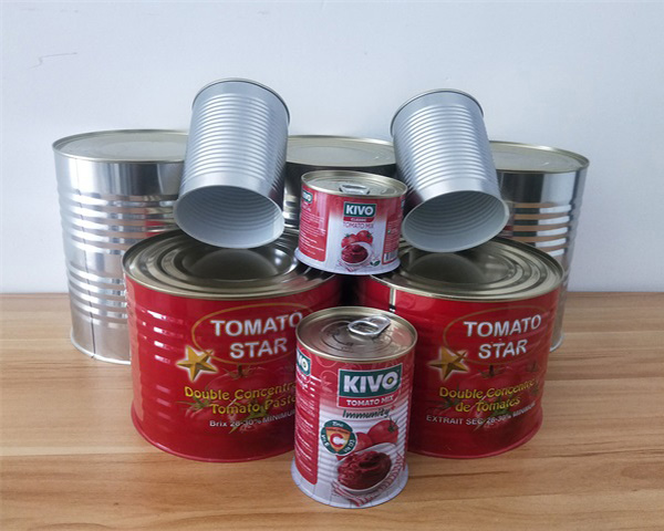 沈阳小型番茄罐生产商